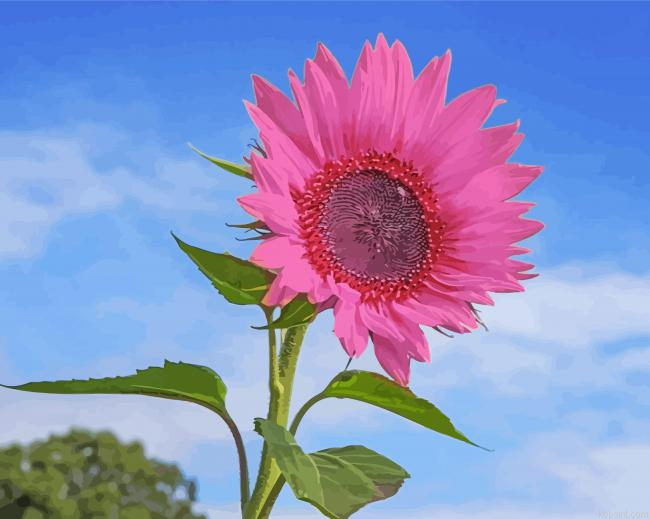 Pink Sunflower Painting By Numberss.png