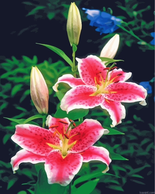 Pink Tiger Lilies Painting By Numberss.png