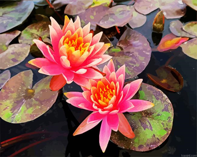 Pink Waterliliy Paint By Numbers.png