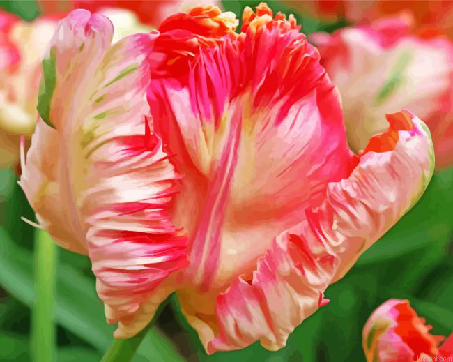 Pink White Parrot Tulip Painting By Numberss.png