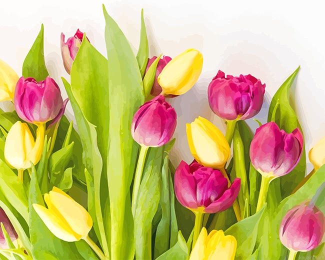 Pink Yellow Flowers New Painting By Numberss.png