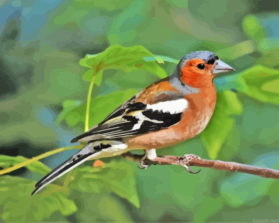 Pinson Painting By Numberss.png