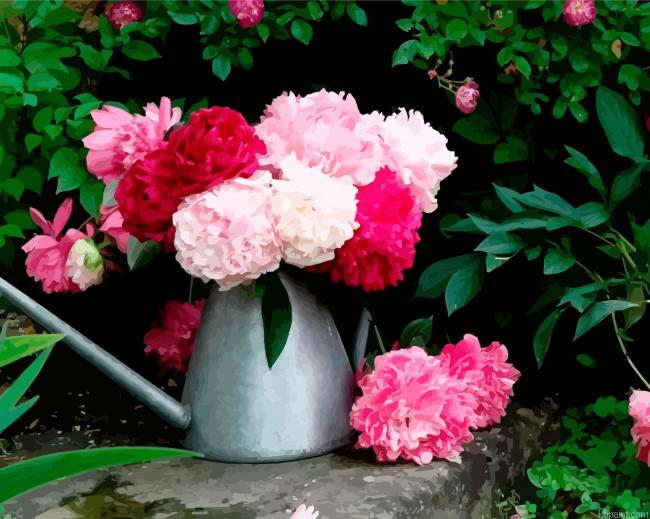 Pivoines Flowers Paint By Numbers.png