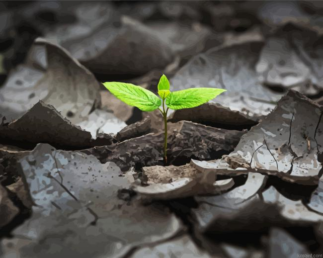 Plant Rebirth Painting By Numberss.png