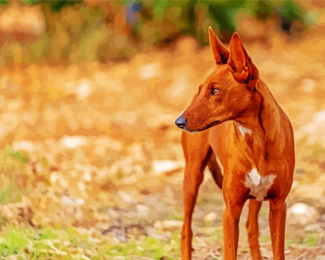 Podenco Dog Animal Painting By Numberss.png