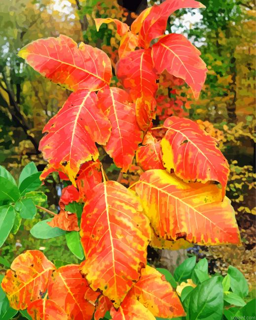 Poison Ivy Foliage Autumn Paint By Numbers