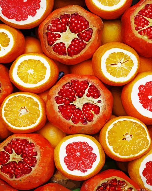 Pomegranate And Orange Citrus Paint By Numbers.png