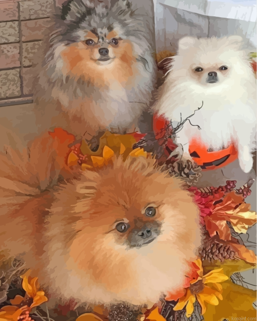 Pomeranian Dogs Painting By Numberss.png