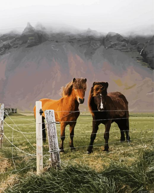 Pony Horses Paint By Numbers.png
