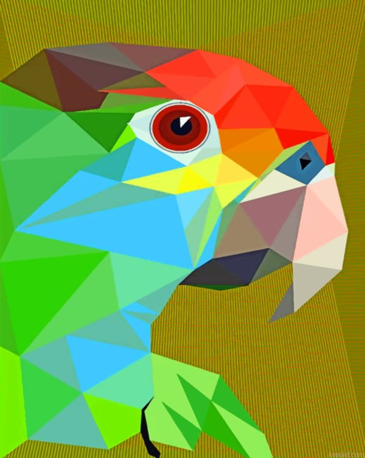 Pop Art Parrot New Painting By Numberss.png