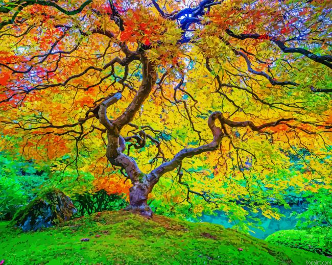 Portland Japanese Garden Painting By Numberss.png