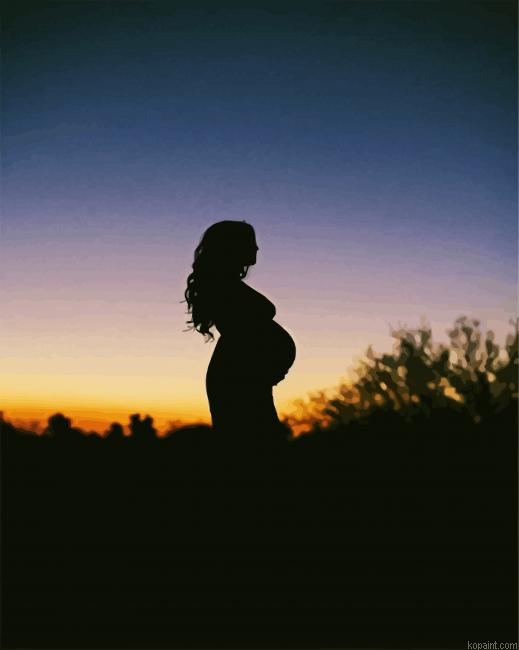 Pregnant Silhouette Paint By Numbers.png