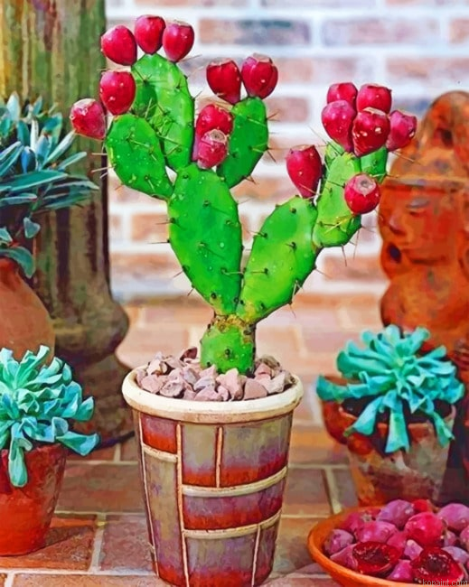 Prickly Pear Cactus Plant Painting By Numberss.png