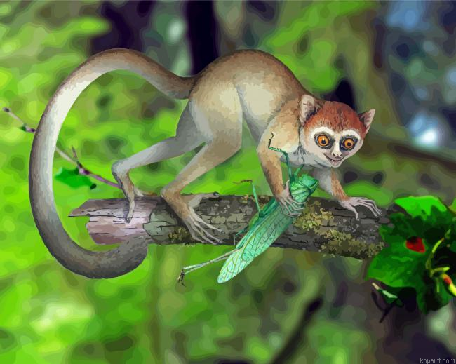 Primate Catching Locuste Paint By Numbers