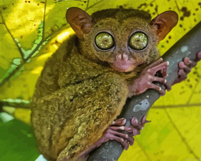 Primate On Branch Paint By Numbers
