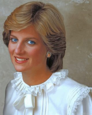 Princess Diana Painting By Numberss.png