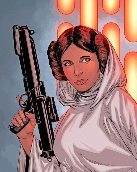 Princess Leia Organa Paint By Numbers
