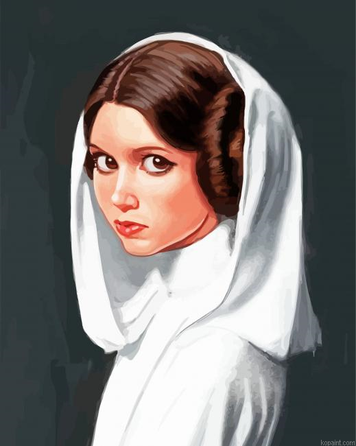 Princess Leia Paint By Numbers