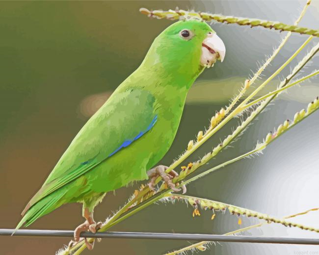 Prrotlet On Stick Painting By Numberss.png