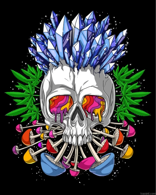 Psychedelic Skull Painting By Numberss.png