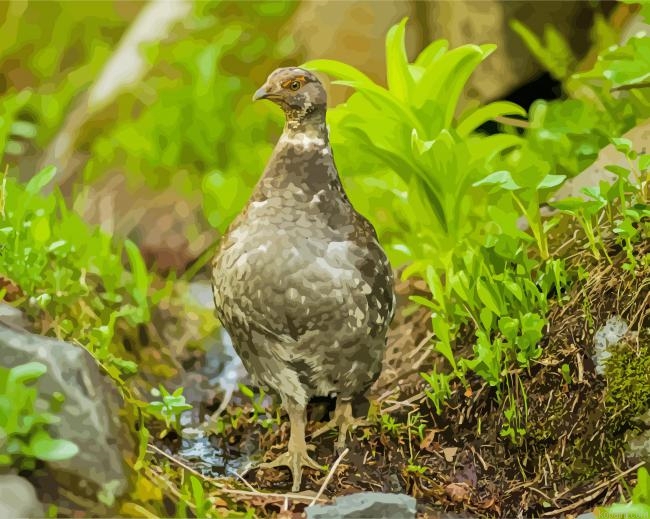 Ptarmigan Animal Painting By Numberss.png