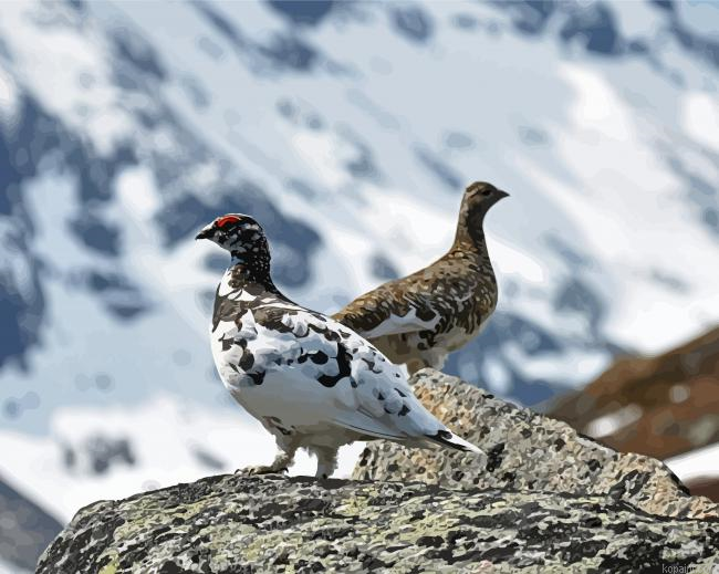 Ptarmigan Birds Animals Painting By Numberss.png