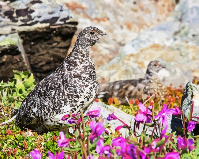 Ptarmigan Painting By Numberss.png