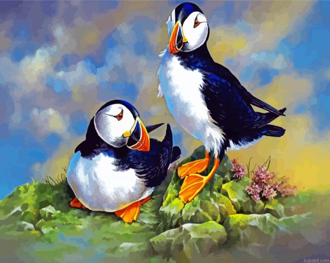 Puffin Birds Animals Painting By Numberss.png