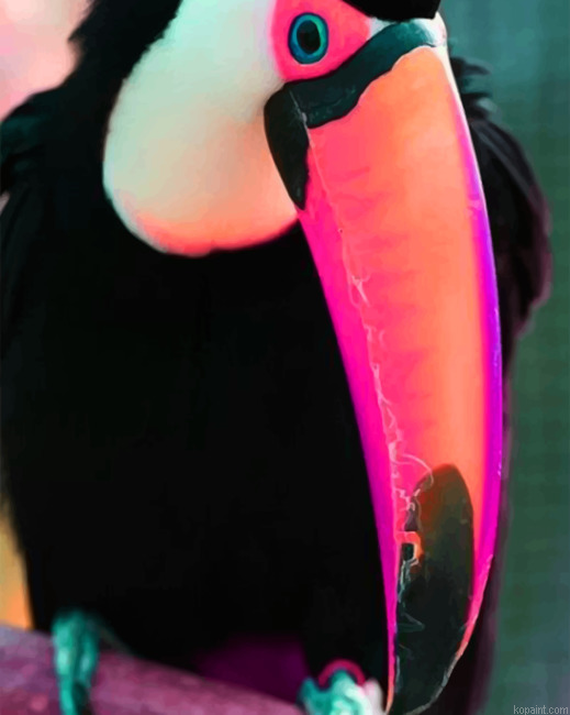 Puffin Painting By Numberss.png