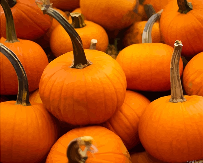 Pumpkin New Painting By Numberss.png
