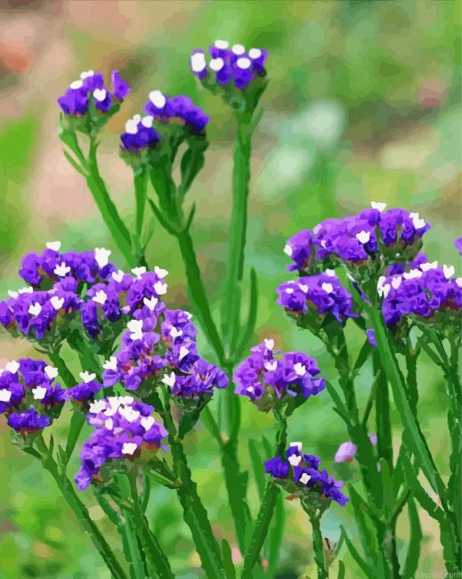 Purple And White Statice Painting By Numberss.png