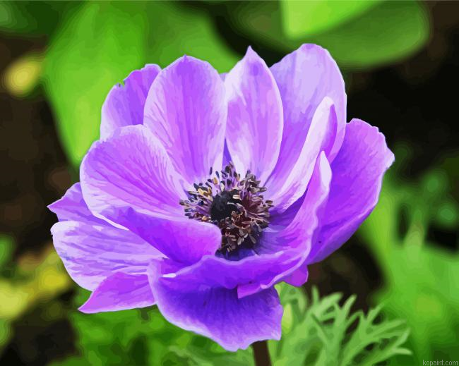 Purple Anemone Paint By Numbers.png