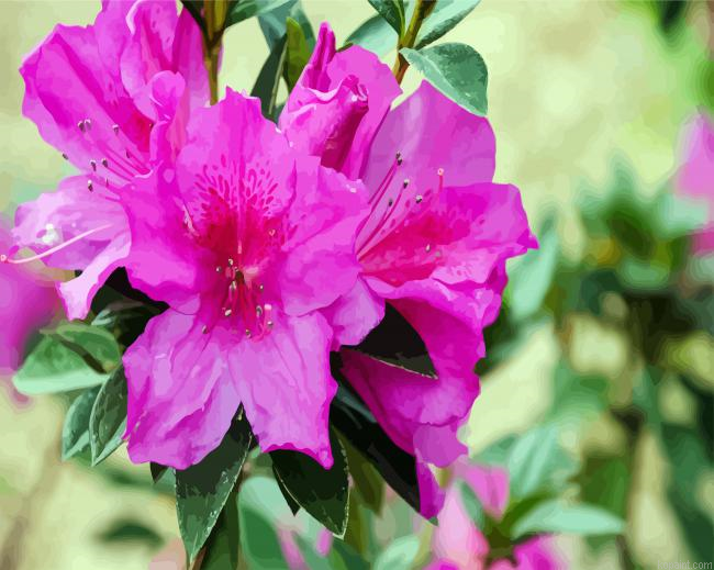 Purple Azaleas Paint By Numbers