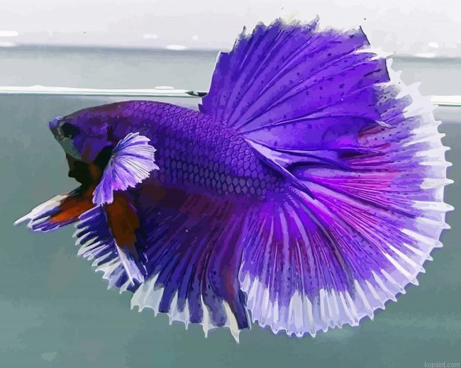 Purple Betta Fish Painting By Numberss.png