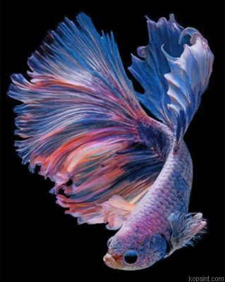 Purple Betta Fishe Vector Painting By Numberss.png