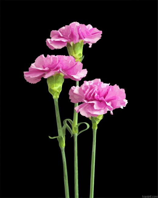 Purple Carnations Flowers Painting By Numberss.png