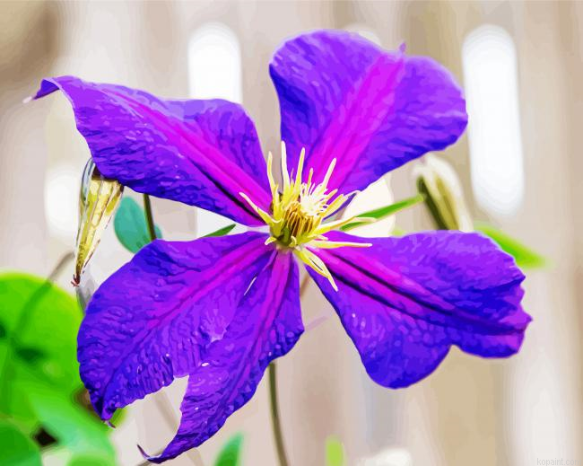 Purple Clematis Painting By Numberss.png