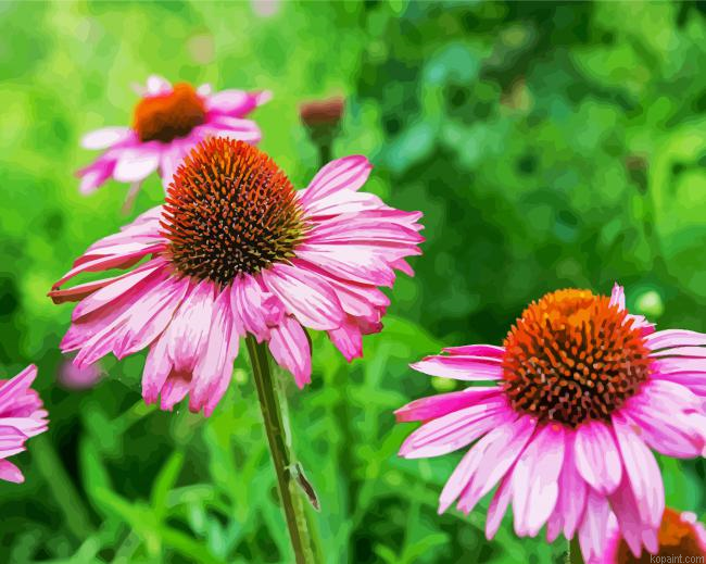 Purple Coneflower Painting By Numberss.png