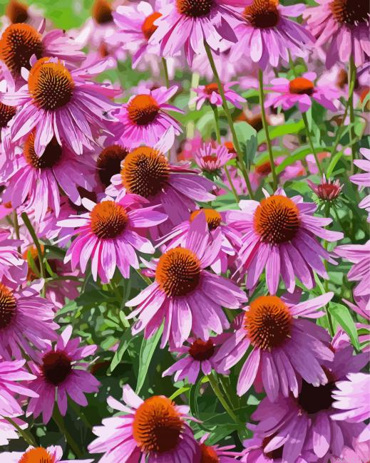 Purple Coneflower Wild Flower Painting By Numberss.png