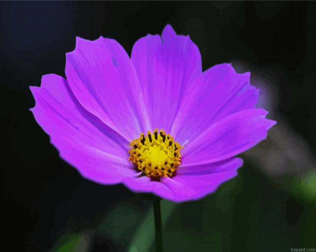 Purple Cosmos Painting By Numberss.png