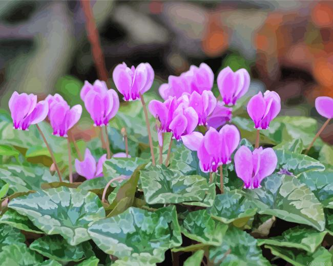 Purple Cyclamen Paint By Numbers