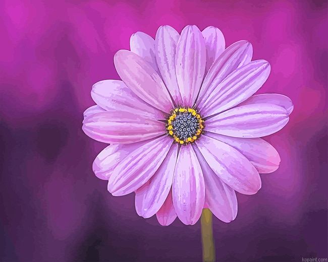 Purple Flower New Painting By Numberss.png