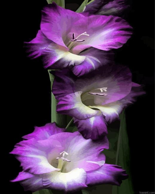 Purple Gladiola Flowers Painting By Numberss.png