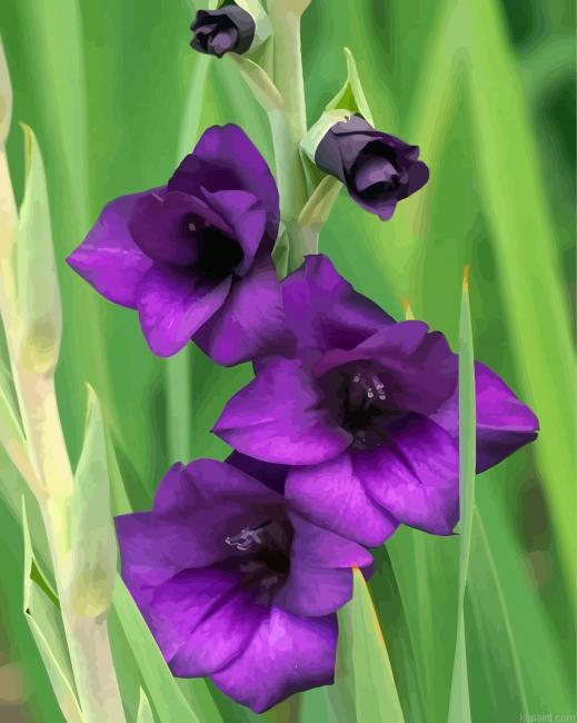 Purple Gladiola Painting By Numberss.png