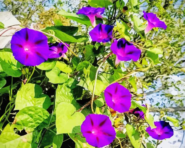 Purple Moonflowers Painting By Numberss.png
