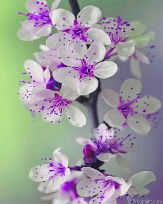 Purple Orchid New Painting By Numberss.png
