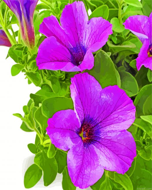 Purple Petunia Painting By Numberss.png