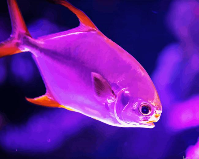 Purple Saltwater Fish Paint By Numbers.png