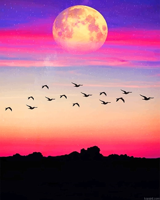Purple View Silhouette Paint By Numbers