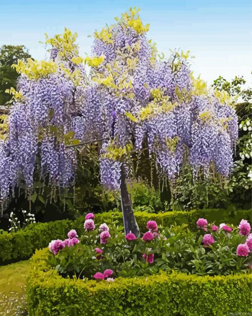 Purple Wisteria Tree Painting By Numberss.png